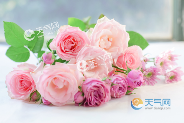 情人节是几号