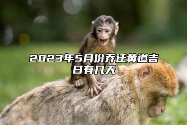 破土吉日11月哪天适合破土