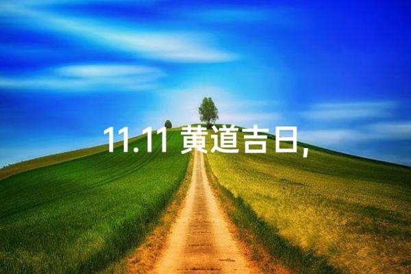 十一月份动土的黄道吉日有哪几天 十一月份动土的黄道吉日有哪几天