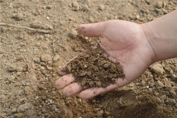 破土吉日10月哪天适合破土 破土吉日10月哪天适合破土