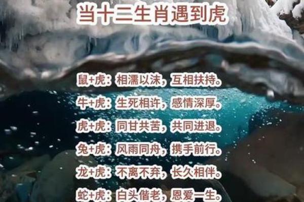 热议:属虎人提车的黄道吉日 热议:属虎人提车的黄道吉日