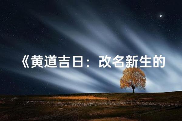 盘点:2025年12月最佳生子吉日查询,农历黄道吉日与生辰八字配对推荐 盘点:2025年12月最佳生子吉日查询,农历黄道吉日与生辰八字配对推荐
