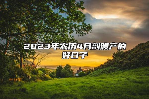 追踪:11月适合抛妇产的黄道吉日 2024年11月剖腹产吉日查询 追踪:11月适合抛妇产的黄道吉日 2024年11月剖腹产吉日查询
