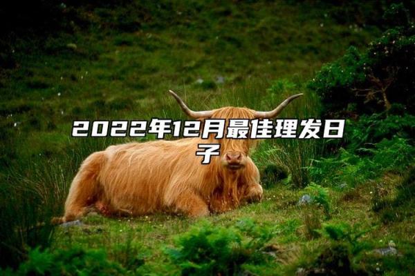 当年：2025年11月理发黄道吉日查询，哪几天最适合剪头发带来好运？