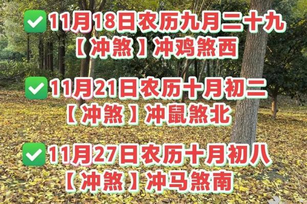 上午:2025年11月嫁娶择日指南,如何挑选良辰吉日避免冲煞? 上午:2025年11月嫁娶择日指南,如何挑选良辰吉日避免冲煞?